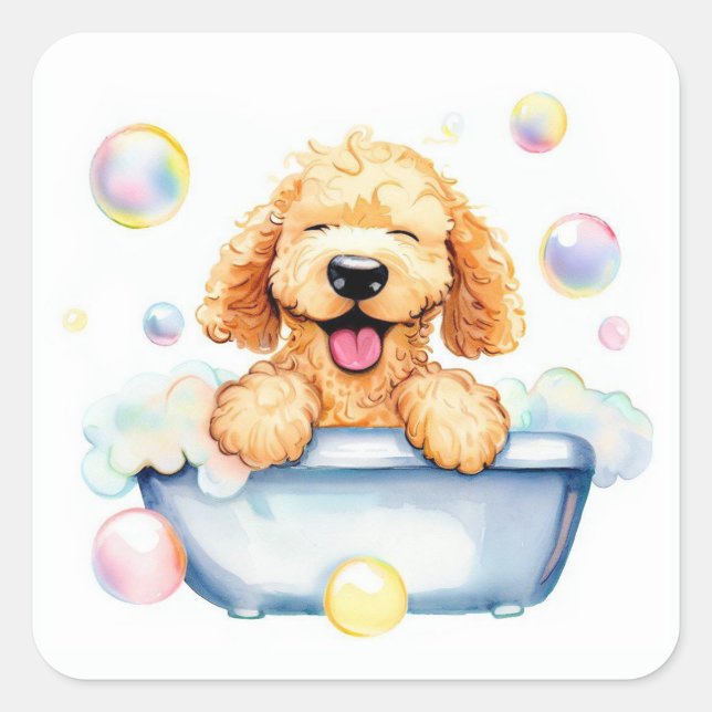 Sticker Carré Chien Goldendoodle (Devant)