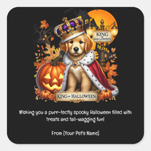 Sticker Carré Chien Halloween Animal de compagnie en costumes éf