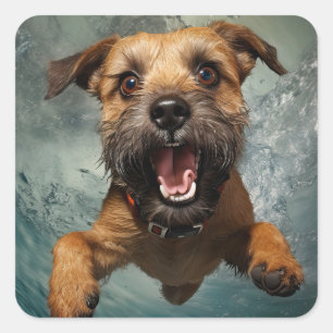 Sticker Carré Chien joueur nageant sous l'eau Design