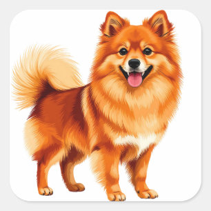 Sticker Carré Chien Pomeranian heureux
