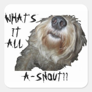 Sticker Carré Chien "QU'EST-CE QUE C'EST QUE DE LA NEIGE ? ?" St