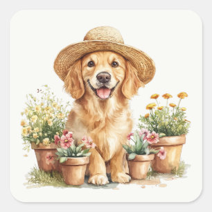 Sticker Carré Chien Retriever Doré Jardinage Pots de Fleurs