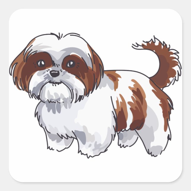 Sticker Carré Chien Shih Tzu (Devant)