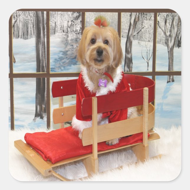 Sticker Carré Chien Shih-Tzu de Noël (Devant)