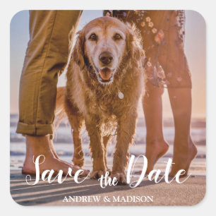 Sticker Carré Chien sur la plage avec un couple annonce de fianç
