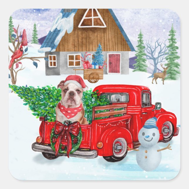 Sticker Carré Chien-taureau Anglais En Livraison De Noël Camion  (Devant)
