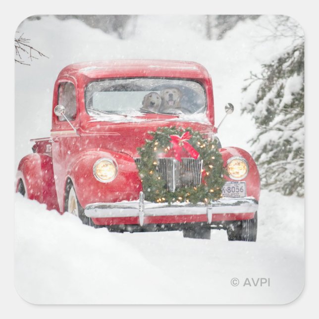 Sticker Carré Chiens dans un camion (Devant)