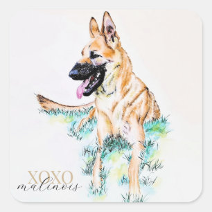 Sticker Carré Chiens de berger allemand Malinois aquarelle XOXO