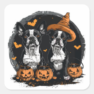 Sticker Carré Chiens de Halloween Boston Terrier