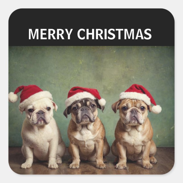 Sticker Carré Chiens de Noël joyeux (Devant)
