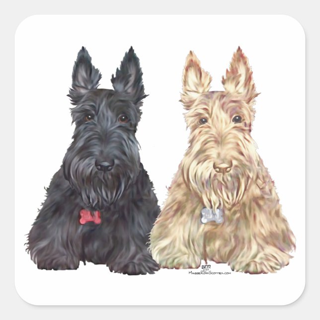 Sticker Carré Chiens Scottie Wheat et Noirs (Devant)