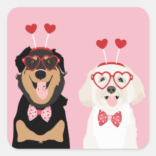 Sticker Carré Chiens Valentine Rottweiler Maltipoo Chiot