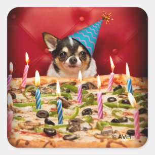 Sticker Carré Chihuahua Anniversaire Pizza Pie