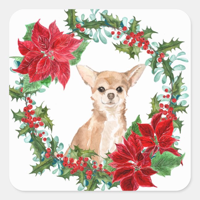 Sticker Carré Chihuahua Chien Poinsettia couronne de Noël (Devant)