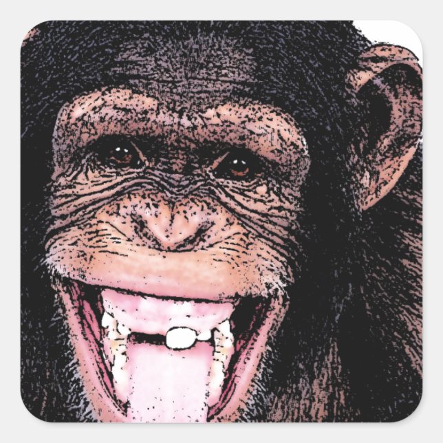 Sticker Carré Chimpanzé (Devant)