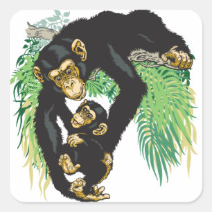 Sticker Carré chimpanzé avec bébé
