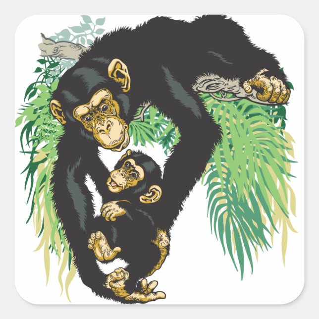 Sticker Carré chimpanzé avec bébé (Devant)