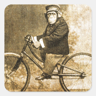 Sticker Carré Chimpanzé vintage sur une bicyclette