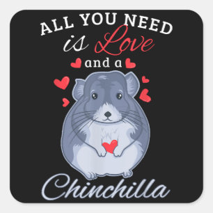 Sticker Carré Chinchilla Cadeau Funny mignon Animateur Amoureux 