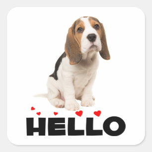 Sticker Carré Chiot Beagle Mignon Bonjour Pensée Amitié