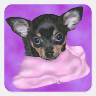 Sticker Carré Chiot Chihuahua noir et feu
