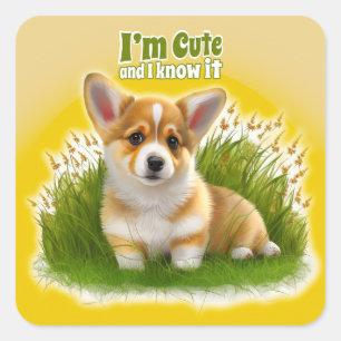 Sticker Carré Chiot de Corgi sur l'herbe   animal mignon