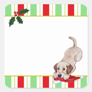 Sticker Carré Chiot jaune du Labrador et chapeau de Noël