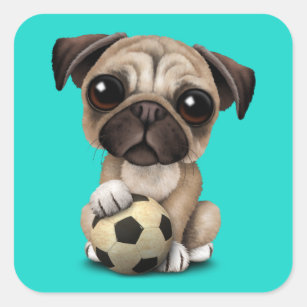Sticker Carré Chiot mignon de carlin avec du ballon de football