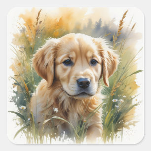 Sticker Carré Chiot retriever doré au coucher du soleil