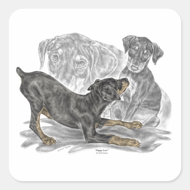Sticker Carré Chiots Doberman Pinscher (Devant)