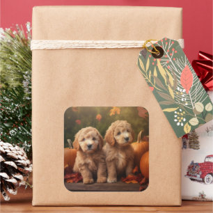Sticker Carré Chiots Goldendoodle Délice d'Automne Citrouille