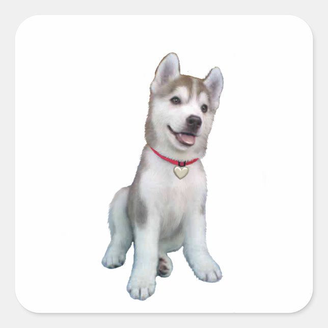 Sticker Carré Chiots Husky Sibérien (Devant)