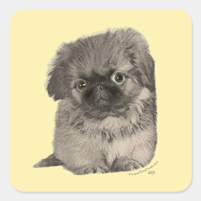 Sticker Carré Chiots Pékinois Jaune (Devant)