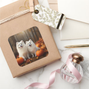 Sticker Carré Chiots Spitz Américain Automne Délice Citrouille