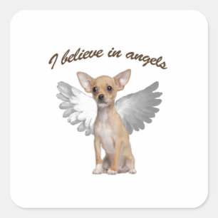 Sticker Carré Chiwawa d'ange