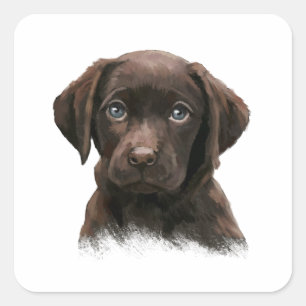Sticker Carré Chocolat Labrador