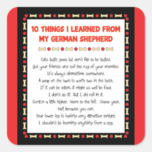 Sticker Carré Choses drôles I appris de mon berger allemand