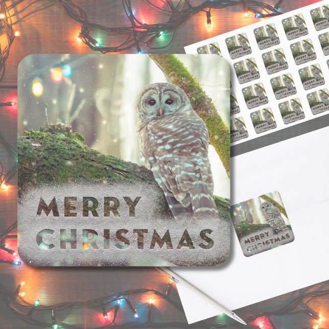 Sticker Carré Chouette Fantaisiste en Hiver Joyeux Noël (Original nature photography made "magical" with some editing. This owl is perfect for your cards.)