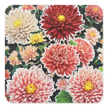 Chrysanthemum Majesty : Embrasser intemporel