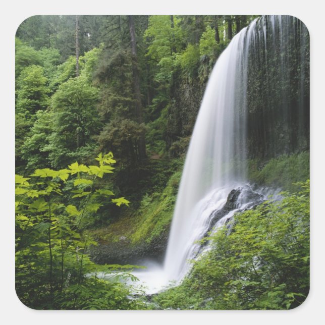 Sticker Carré chute Middle North, parc d'État de Silver Falls, (Devant)