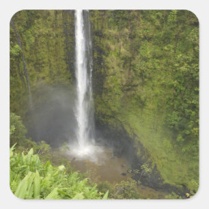 Sticker Carré Chutes Akaka, côte Hamakua, île d'Hawaï,