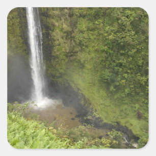 Sticker Carré Chutes d'Akaka, côte d'Hamakua, île d'Hawaii,
