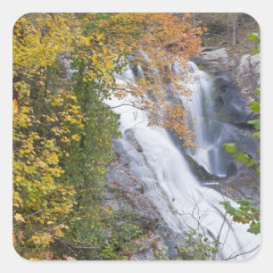 Sticker Carré Chutes de la rivière Bald