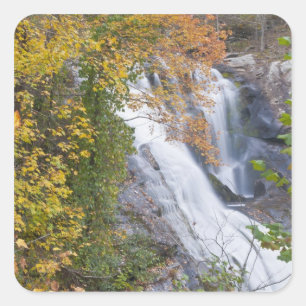 Sticker Carré Chutes de la rivière Bald