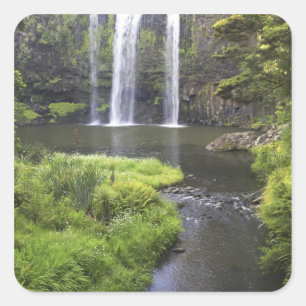 Sticker Carré Chutes de Whangarei, Whangarei, Northland, Nouvell