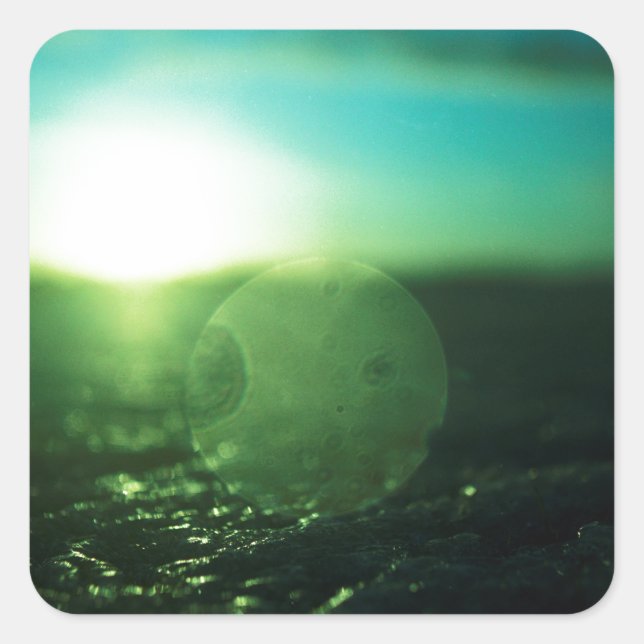 Sticker Carré Circle in Square - médium format analog Hasselblad (Devant)