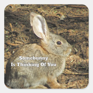 Sticker Carré Citation drôle "Thinking Of You" Photo de lapin br
