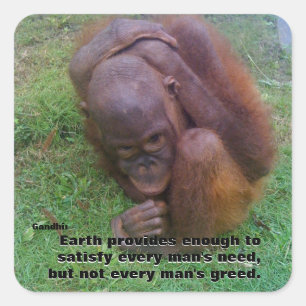 Sticker Carré Citation motivationnelle Terre et cupidité