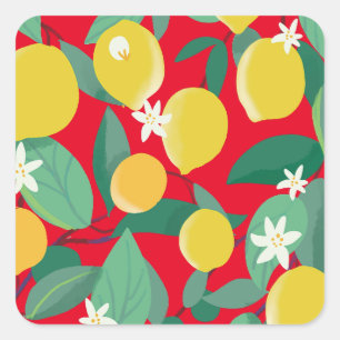Sticker Carré Citrons siciliens