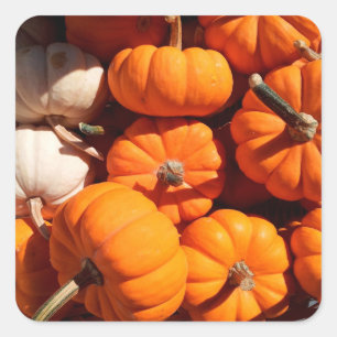 Sticker Carré Citrouille halloween Jack-o'-lantern orange citrou